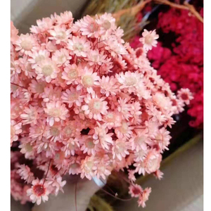 Fiori Secchi Conservati di Elicriso e Margherita per Decorazione - Product Image 2