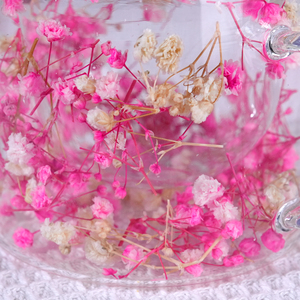 Tazza in <span class=keywords><strong>Vetro</strong></span> Borosilicato <span class=keywords><strong>di</strong></span> Alta Qualità <span class=keywords><strong>con</strong></span> Logo Personalizzato, Doppia Parete <span class=keywords><strong>con</strong></span> <span class=keywords><strong>Fiori</strong></span> Secchi - Product Image 4