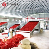 Machine de séchage continue à air chaud pour piments et légumes, contrôle PLC, sécheuse à piments S17