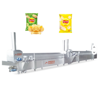 Ligne de friture automatique industrielle continue pour chips et petits pois, machine à friture profonde haute capacité 500 kg/h