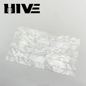 HIVE Wholesale Exquisite Pure Natural Paua Mother Pearl Abalone <strong>Shell</strong> Sheet Decorative White <strong>Shell</strong> Paper for Guitar Decoration - Product Image 5