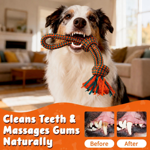 Juguetes de Cuerda para Mascotas de Alta Calidad, Juguetes de Entrenamiento para la Dentición, Ecológicos, No Tóxicos, Juguetes para Masticar y Limpiar los Dientes de Perros - Product Image 5