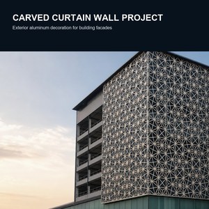 Panneaux de mur-rideau en aluminium thermolaqués anti-corrosion pour l'extérieur des bâtiments, design minimaliste, 70 pouces et plus - Product Image 3