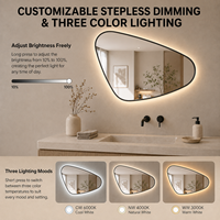 Miroir de salle de bain LED encadré irrégulier avec éclairage rétroéclairé, miroir de vanité anti-buée, 3 couleurs réglables, fonction mémoire