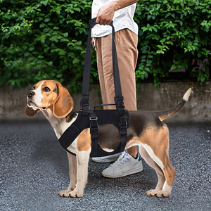 Arnés de Apoyo Multifuncional para Perros con Discapacidad, Ancianos o de Gran Tamaño, para Sujeción Manual en Pecho y Espalda - Product Image 4