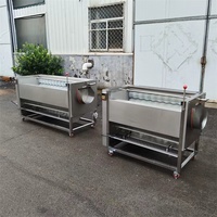 Fruit- en groentereinigings- en schilmachine met slakkenroller & oesterborstelontwerp, eenvoudig te bedienen, 220V, 1 jaar garantie