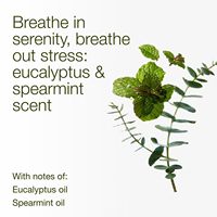 Bougie artisanale Oshine à la menthe verte et à l'eucalyptus, 3 mèches, en cire de soja, parfum longue durée, haute concentration d'aromathérapie pour la maison