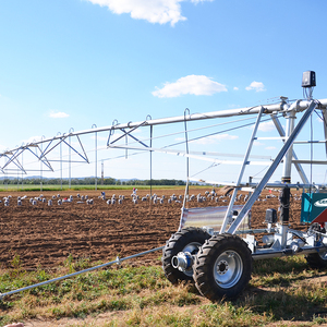 Sistema di Irrigazione Lineare a Spruzzo per Grandi Aziende Agricole 2026: Struttura Razionale e Alta Efficienza Economica - Product Image 4