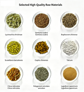 Cerotto per Agopunti con Formula Erboristica, Delicato e Sicuro, Facile da Usare, Universale per Adulti per il Sollievo da Disturbi da Calcoli Biliari - Product Image 2