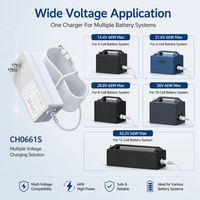 Chargeur de batterie 66W, sortie large 14.4-43.2V, prise US, chargeur AC, protection multi-couches, OEM ODM