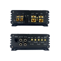 Amplificateur audio de voiture mono bloc en alliage d'aluminium 2000W 1 canal classe D 12V avec crossovers, grande puissance, bon prix