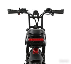 Fat <b>Tire</b> Bike 20 4.0 Off Road Dual Shock Absorption 750W 48V Disc Brushless Motor Removable Battery for Adults - Product Image 2