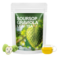 Vente en gros de feuilles de graviola biologique de qualité supérieure pure tisane de haute qualité OEM/ODM thé en vrac soutien immunitaire santé quotidienne
