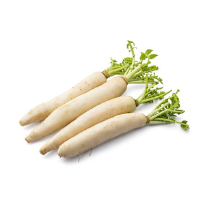 Variété de radis rouge de qualité commerciale pour la plantation, culture racinaire à croissance rapide avec une qualité de récolte supérieure pour l'agriculture à grande échelle - Product Image 4