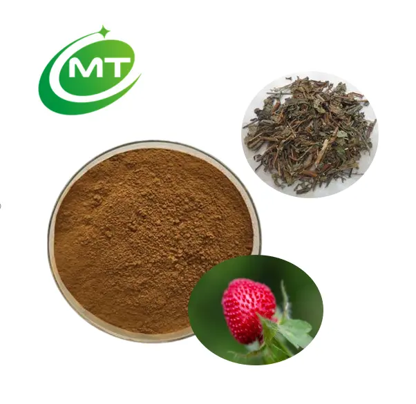 ISO22000 Factory Supply Organic She Mei Cao Powder Duchesneae Indicae Herba Extract 10:1