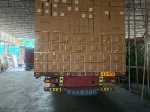 <span class=keywords><strong>เลื่อย</strong></span>โซ่ยนต์ไร้<span class=keywords><strong>สาย</strong></span> 20V, โซ่ยาว 8 นิ้ว, ยืดได้ถึง 265 ซม., ความเร็ว 5.5 เมตร/วินาที, ปรับแต่งได้โดยไม่ต้องใช้เครื่องมือ, เกรด DIY, ปรับแต่งได้ตามความต้องการของลูกค้า (OEM) - Product Image 6