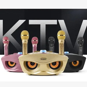 Nhà máy cung cấp sd306 gia đình KTV 2-in-1 xách tay Karaoke Loa không dây với dual Microphone Owl Loa sd306