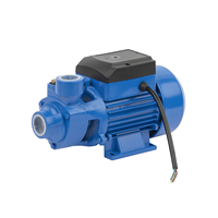 Qb70 0.75hp fonte puissance électrique qb périphérique laiton turbine pompe Surface pompe à eau