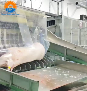 เครื่องกำจัดขน<span class=keywords><strong>หมู</strong></span>อัตโนมัติอเนกประสงค์ กำลังการผลิต 80 ตัวต่อชั่วโมง พร้อมแกนแบริ่งสำหรับโรงฆ่าสัตว์ - Product Image 5