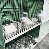 Cages à oiseaux chinoises Excel, cages hautes pour oiseaux, cages d'élevage pour canaris, grandes cages en métal