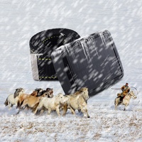 Traqueur de positionnement solaire Positionnement GPS 4G Traqueur étanche IP68 pour le pâturage des bovins, des moutons et des chevaux