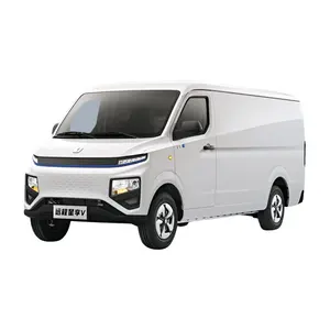 Manufacturer Factory Price Most Reliable Best Selling Electric Van Ev Remote Star Enjoy V6e Electric Delivery Cargo Van