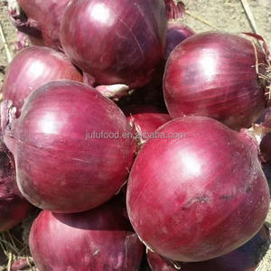 Oignons rouges de la dernière récolte, haute performance, en sacs maillés, pour stockage à froid, frais, 80-150g, durée de conservation de 8 mois, marque Ju Fu, origine Shandong - Product Image 5