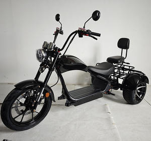 Batería para Triciclo Eléctrico de <span class=keywords><strong>Tres</strong></span> <span class=keywords><strong>Ruedas</strong></span>, Precio de Fábrica, para Motocicleta Eléctrica, Citycoco - Product Image 1