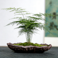 Nouveaux pots à bonsaï traditionnels créatifs en céramique, pot à bonsaï Yixing, pots à fleurs, jardinières, pot à bonsaï, pots à fleurs pour plantes succulentes