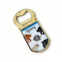Großhandel Personalisierter Quincy USA-Touristen-Souvenir Beschichteter Metall-Kühlschrankmagnet Flaschenöffner