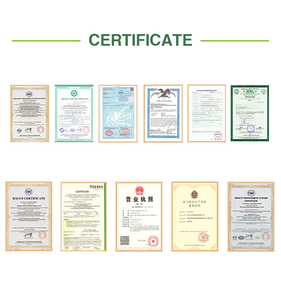 Fábrica Private label Memória Suporte <span class=keywords><strong>Ginko</strong></span> <span class=keywords><strong>Biloba</strong></span> Cápsulas Suporta Cérebro - Product Image 6