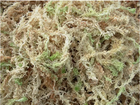 Mousse de tourbe de sphagnum naturelle séchée en gros pour plantes, mousse de sphagnum de Nouvelle-Zélande pour orchidées et pelouses, 10 kg