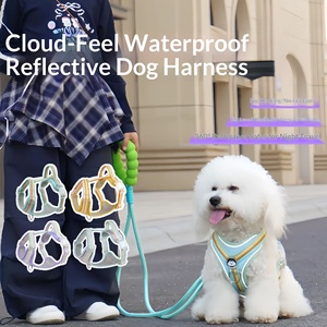<span class=keywords><strong>Harnais</strong></span> pour chien, laisse en nylon anti-explosion en forme de I, sangle de poitrine pour promener son chien et faire du jardinage en extérieur - Product Image 3
