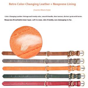 <span class=keywords><strong>Collar</strong></span> de perro de cuero acolchado suave para perros con placa de nombre grabada <span class=keywords><strong>Collar</strong></span> de perro de cuero personalizado suministros acolchados para mascotas - Product Image 6