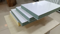 Panneau composite FRP PET Surface lisse et facile à nettoyer pour les panneaux muraux architecturaux et les systèmes de revêtement de décoration intérieure
