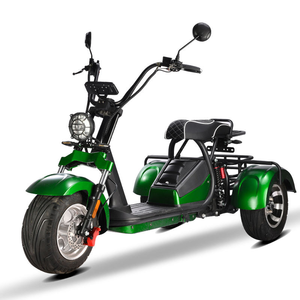 Scooter électrique à trois roues Loyal, 4000W, batterie au lithium 60V, GPS, pliable, étanche, longue portée 60-100 km, pour adultes - Product Image 6