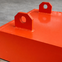 Sistema Separador Electromagnético de Alta Resistencia para Manejo de Materiales de Minería, Solución Industrial Personalizable para la Separación de Hierro