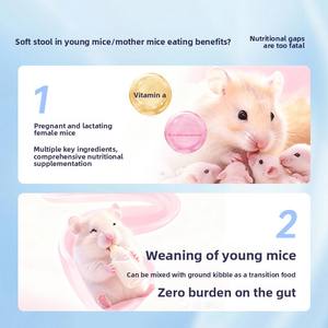 Suplemento Vitamínico Líquido para Hámsteres, Vitamina Electrolítica Nutritiva Líquida para Cobayas, Chinchillas y Cobayas Holandesas - Product Image 3