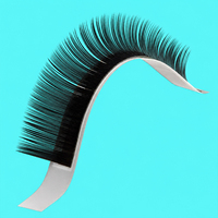 Ekstensi Bulu Mata Volume Buatan Tangan Matte Black Volume Lash Fans C C D DD Curl Lashes untuk Penggunaan Salon Bulu Mata Profesional