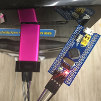 ST-Link V2 Stlink Mini STM8 STM32 Simulador STLINK para Descarga y Programación con Cubierta Protectora