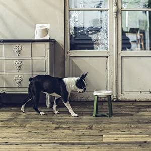 Trending Eco-Friendly Ceramic Pet Bowl <b>Feeder</b> <b>Raised</b> Accessory Elevated Stand Wholesale Portable <b>Dog</b> Food & Cat Water Supply - Product Image 2