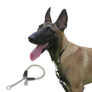 Correa de Nailon para Perro de Exhibición con Diseño LED Satinado, Reflectante, Ajustable, Suave, Duradera y a la Moda, Fabricada en China, OEM ODM Personalizado - Product Image 4