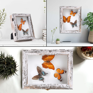 Blanc rustique 7.2*9.2 pouces boîte d'ombre en bois cadre Photo 3 types de broches encadrées papillon et fleur insecte Style campagnard Unique - Product Image 5