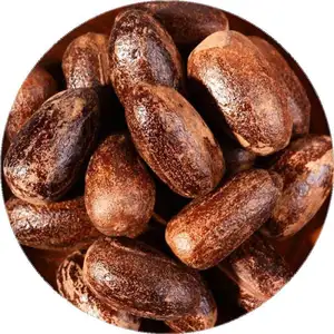 Chinese Nutmeg Exporters Wholesale Good Quality Low Price Long With Shell Nutmeg