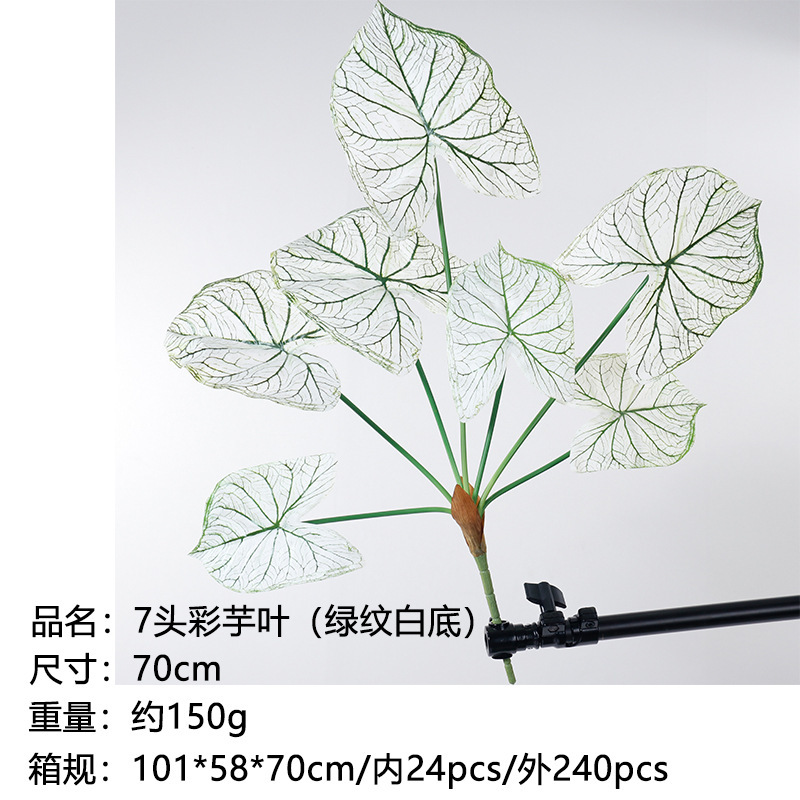 Feuilles de taro à 7 têtes (rayures vertes, base blanche) - 70cm