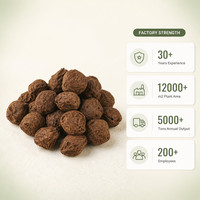 Premium Additievenvrije Zoetzure, Verbrand Gerookte Pruimen Mume Fructus, Gecarboniseerd voor Voedselingrediënten en Darmverzorging