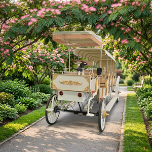 Chariot de tourisme électrique de luxe populaire à 4+1 rangées pour parcs équestres - Product Image 1