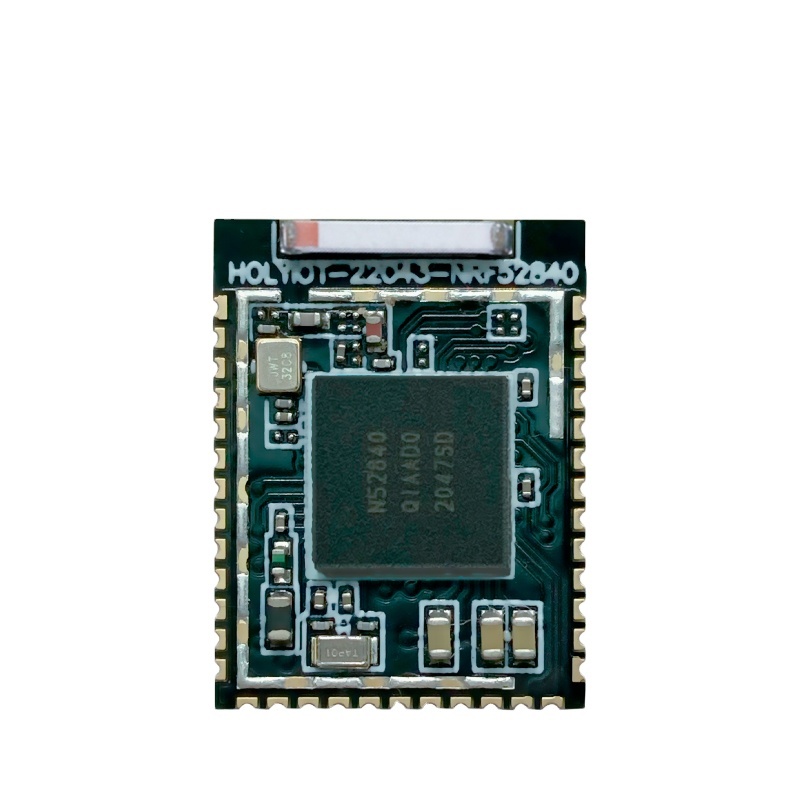 Holyiot NRF52832 2 4GHz Mini USB
