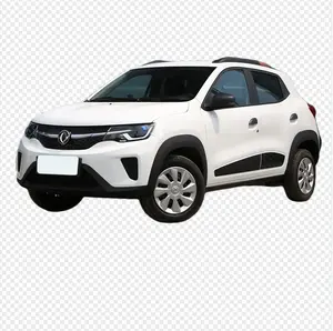 New Energy Vehicles Dongfeng EX1 2022 pro Ev Adults Electric New Chinese Electric Car In Stock