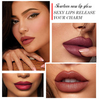 Fit Colors Coffret cadeau de 14 gloss à lèvres véganes, finis mat et nacré, anti-transfert, huile à lèvres changeante de couleur, rouge à lèvres liquide et base de rouge à lèvres